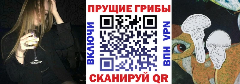 Псилоцибиновые грибы мицелий  где найти   Кинешма 